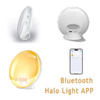 Wake-Up Light Alarm Clock – Sunrise/Sunset Simulation with Dual Alarms, FM Radio, Nightlight & Natural Sounds